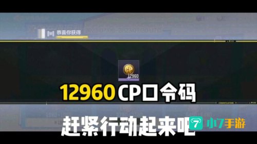 使命召唤手游口令码