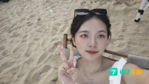 火之意志的继承者