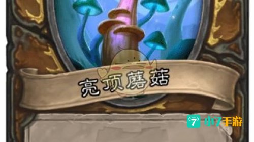 亮顶蘑菇