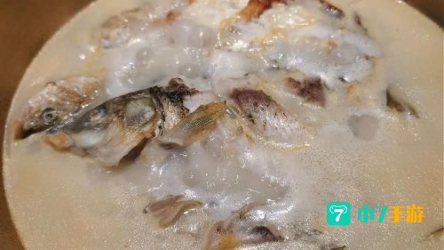 牛奶鱼群汤